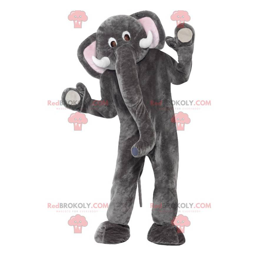 Gray and white elephant mascot with a large trunk -