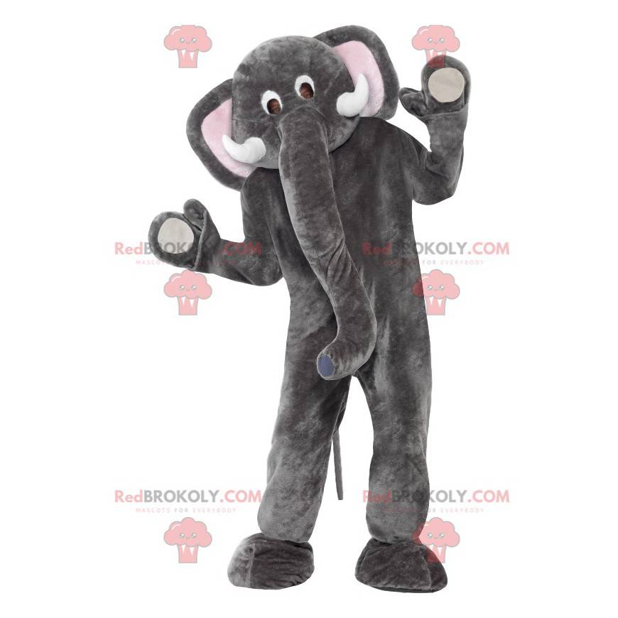 Grå og hvid elefantmaskot med en stor bagagerum - Redbrokoly.com Grå og hvid elefantmaskot med en stor bagagerum - Redbrokoly.com