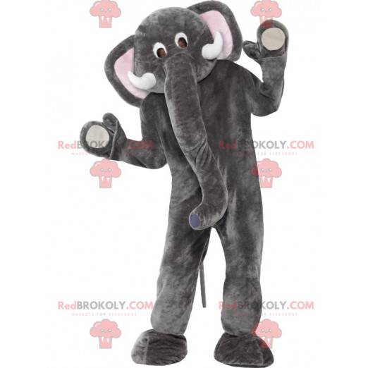 Gray and white elephant mascot with a large trunk -