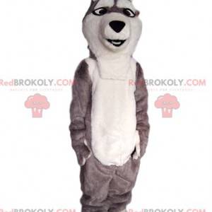 Mascote do cão lobo cinzento e branco. - Redbrokoly.com