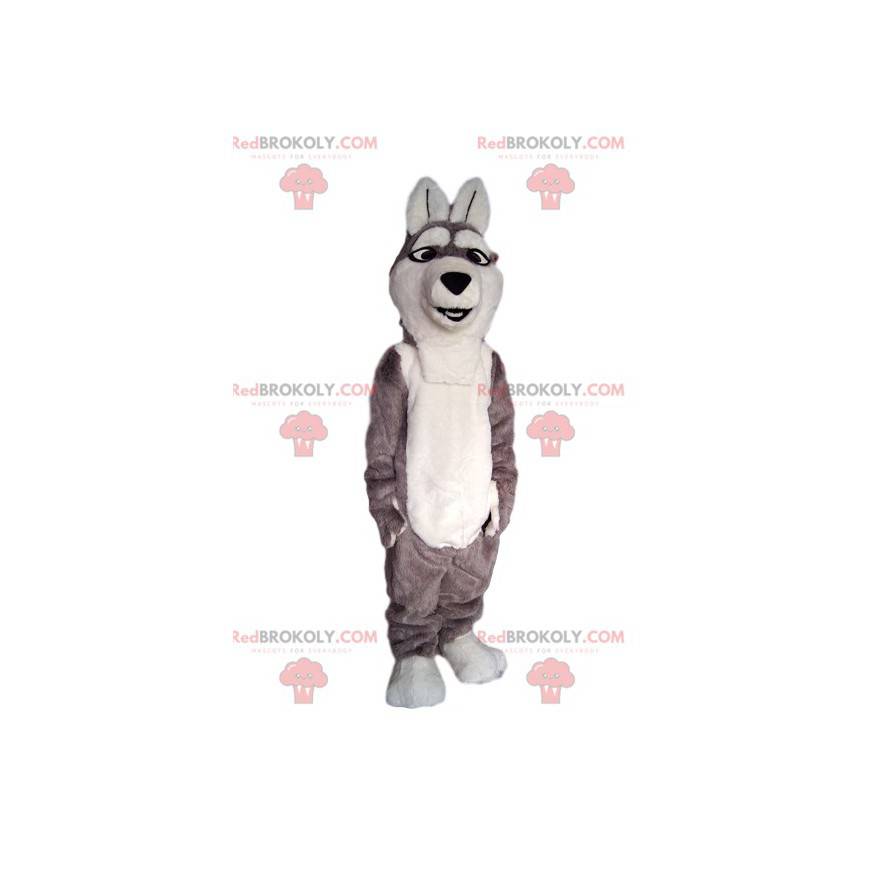 Mascote do cão lobo cinzento e branco. - Redbrokoly.com