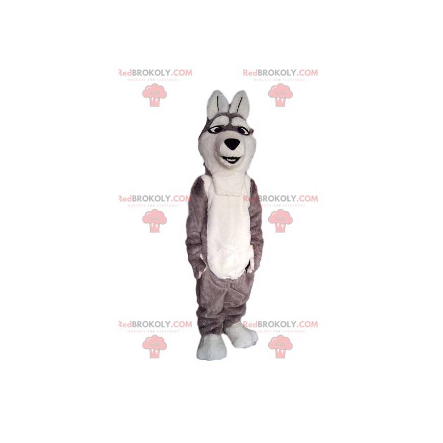 Mascotte de chien loup gris et blanc. - Redbrokoly.com