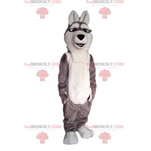 Graues und weißes Wolfshundemaskottchen. - Redbrokoly.com