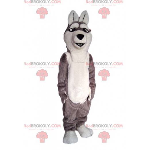 Mascote do cão lobo cinzento e branco. - Redbrokoly.com