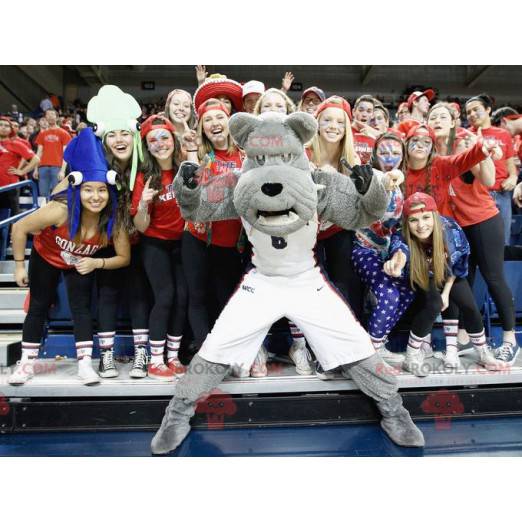 Gray bulldog dog mascot in sportswear - Redbrokoly.com