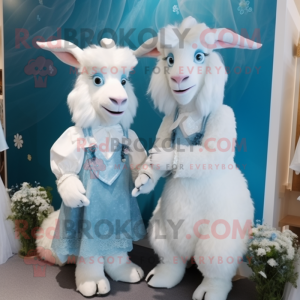 Sky Blue Angora Goat...