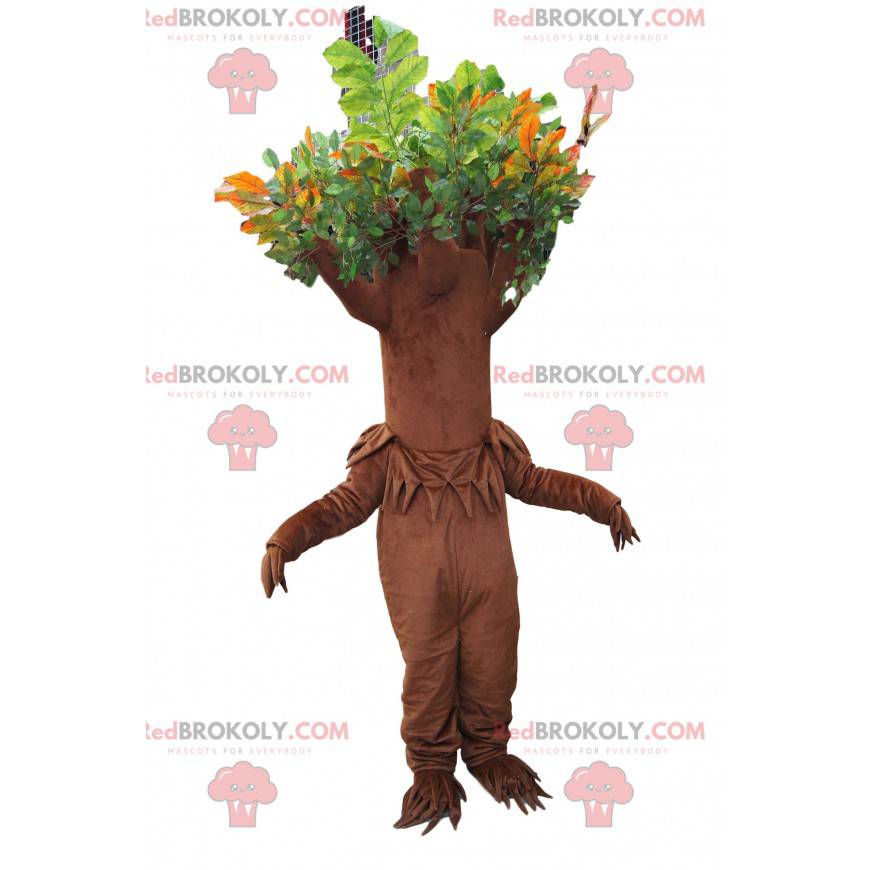 Braunes Baummaskottchen mit grünem Laub - Redbrokoly.com