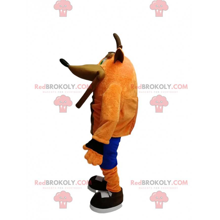 Mascot Crash Bandicoot, den berömda galna räven från Mascot Crash Bandicoot, den berömda galna räven från