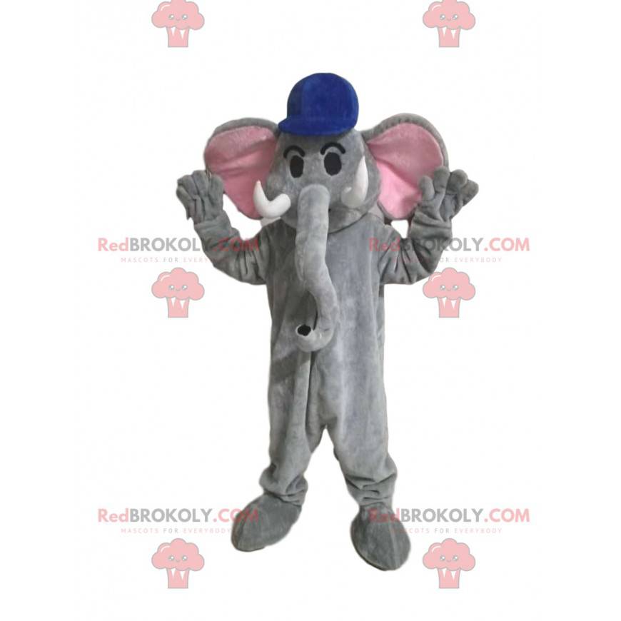 Graues Elefantenmaskottchen mit einer blauen Kappe -