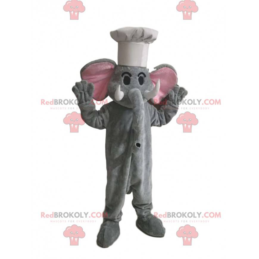 Mascote elefante cinzento com chapéu branco - Redbrokoly.com