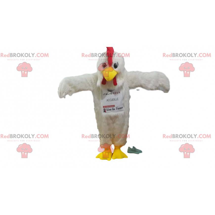 Mascotte pollo bianco con un magnifico piumaggio! -