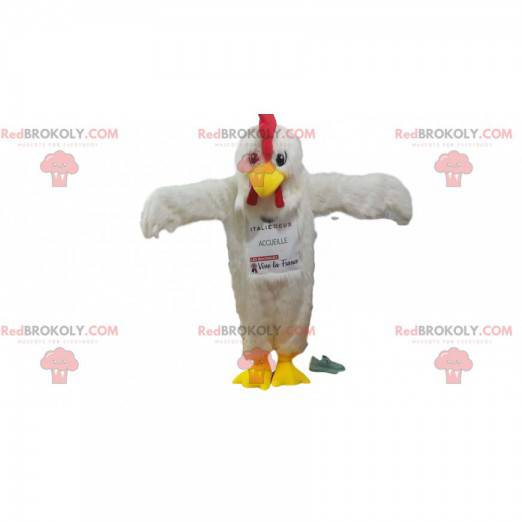 Mascotte de poulet blanc avec un magnifique plumage! -