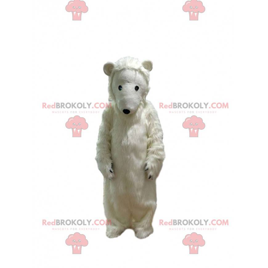 Isbjørn maskot så rørende - Redbrokoly.com
