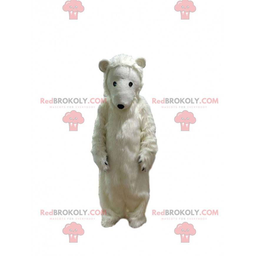 Mascota del oso polar tan conmovedora - Redbrokoly.com