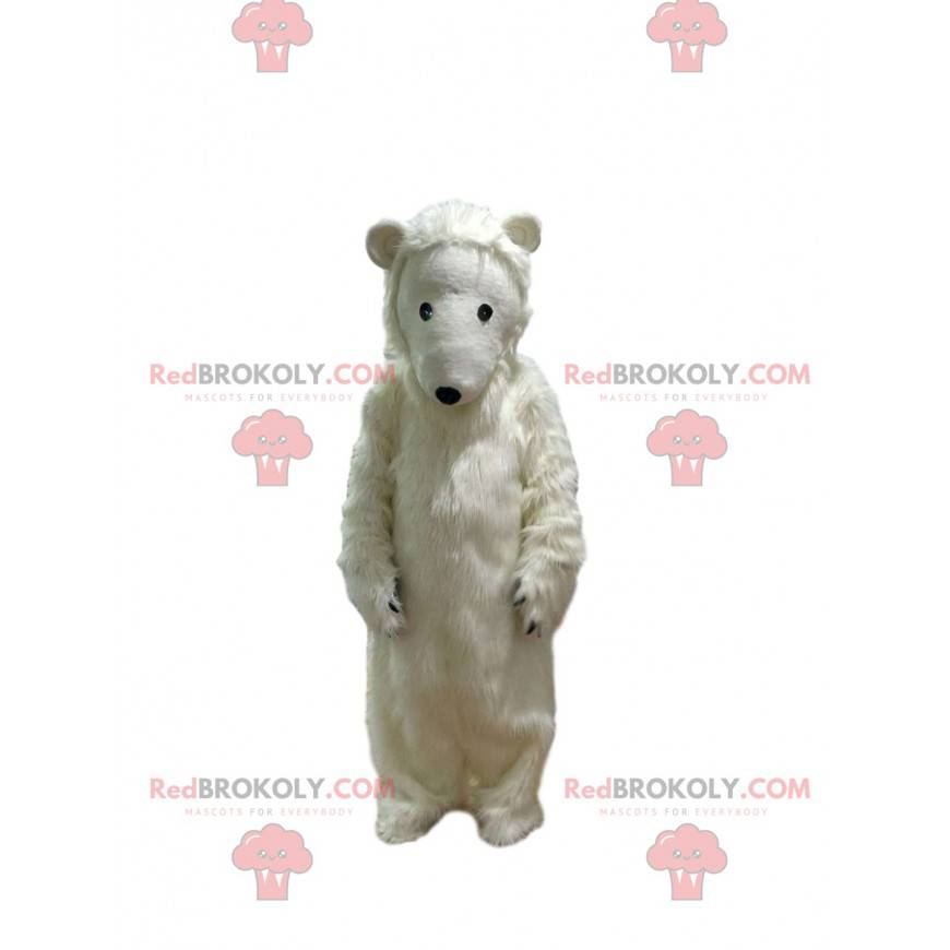 Mascotte dell'orso polare così commovente - Redbrokoly.com Mascotte dell'orso polare così commovente - Redbrokoly.com