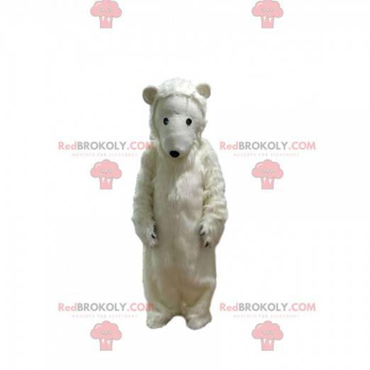 Mascotte d'ours blanc tellement attendrissant - Redbrokoly.com