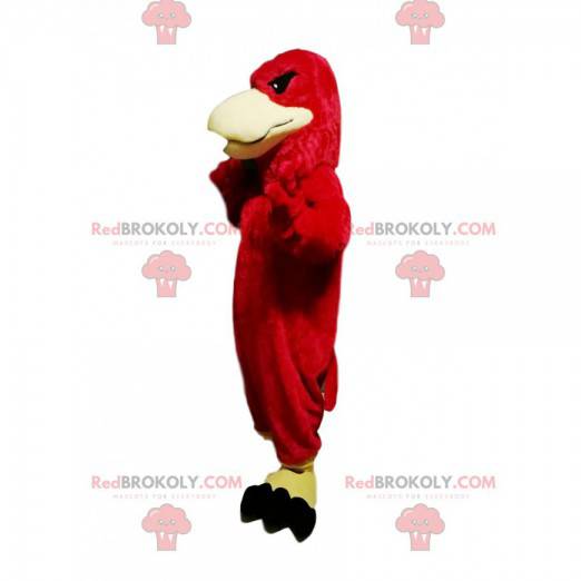 Mascote da águia vermelha com um olhar persistente -