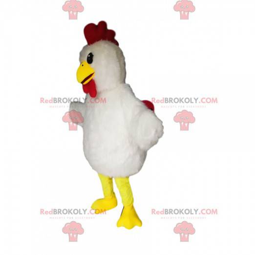 Mascota de pollo con hermoso plumaje blanco. - Redbrokoly.com
