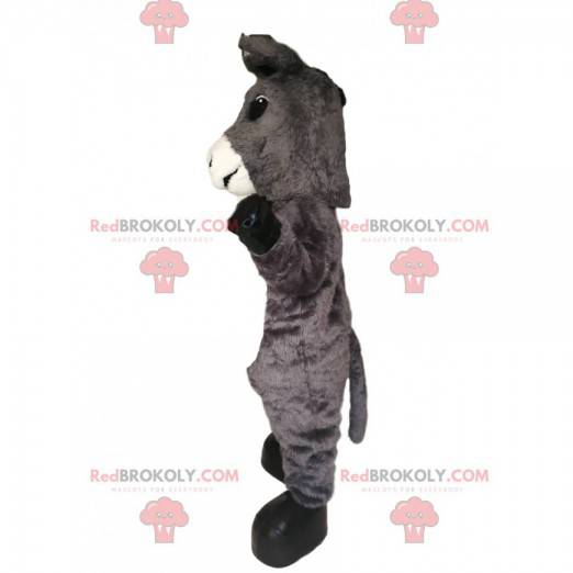 Gray and white donkey mascot with beautiful ears -