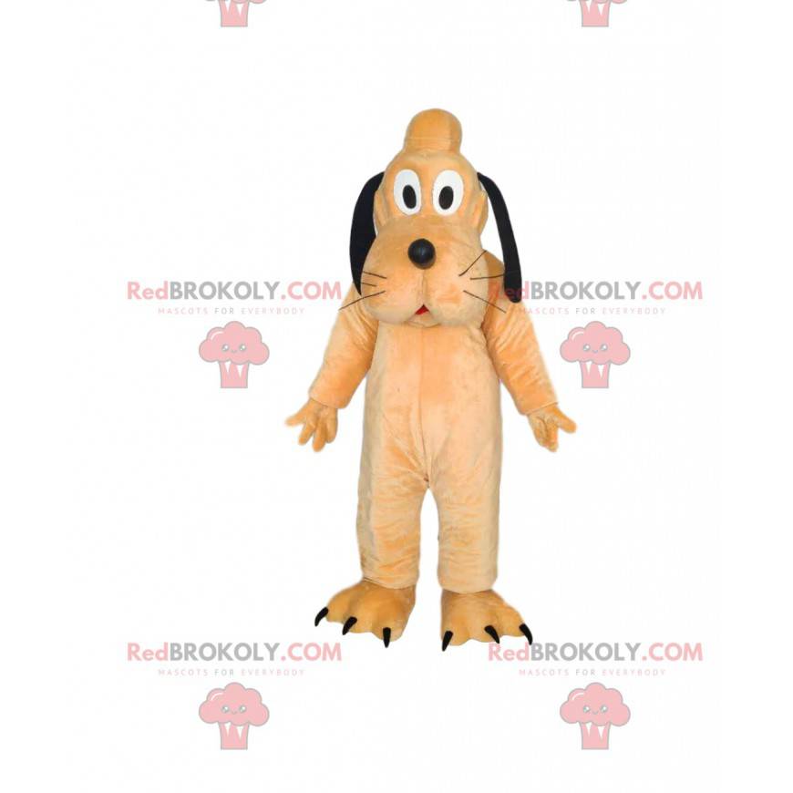 Maskot av Pluto, den berömda hunden av Walt Disney -