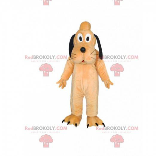 Maskot av Pluto, den berömda hunden av Walt Disney -