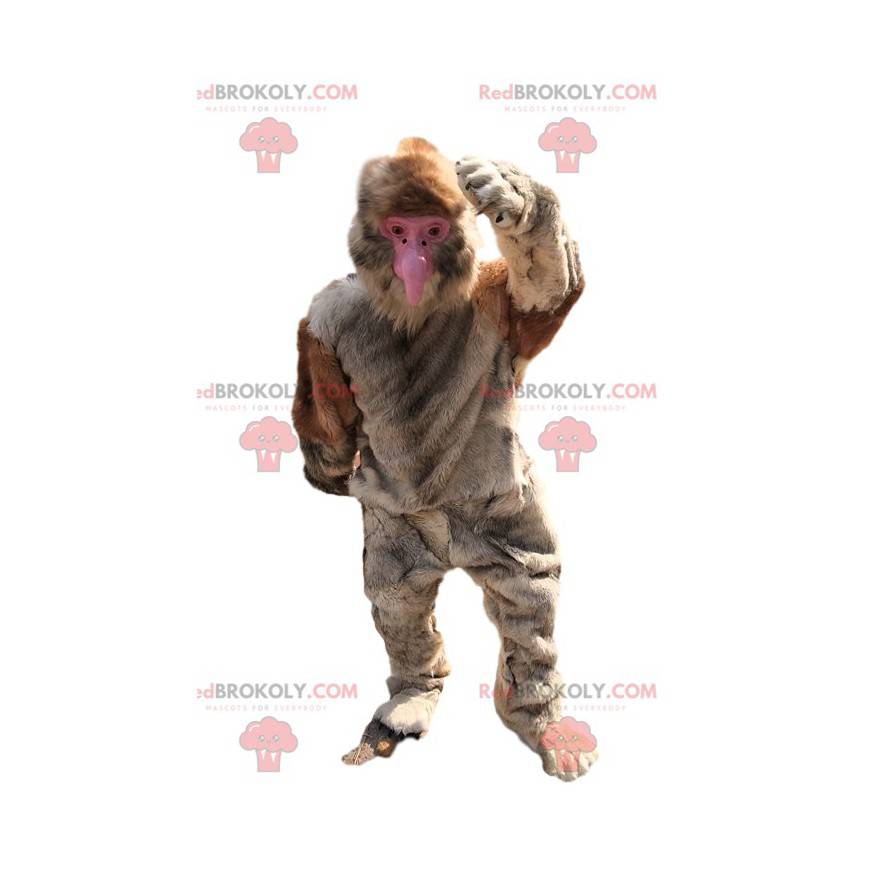 Great monkey mascot with beige fur - Redbrokoly.com