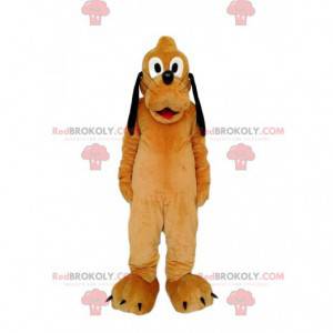 Pluto maskot, den roliga hunden från Walt Disney -