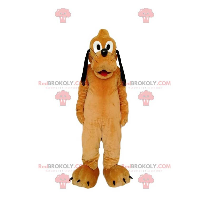 Pluto-mascotte, de grappige hond van Walt Disney -