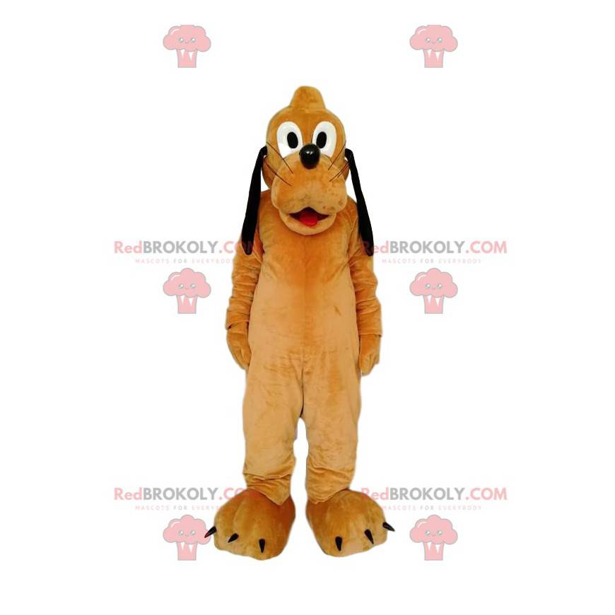 Pluto maskot, den sjove hund fra Walt Disney - Skære (175-180CM)