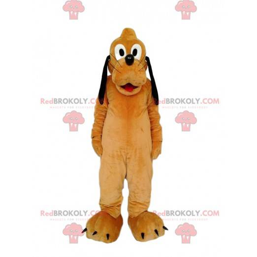 Pluto maskot, den roliga hunden från Walt Disney -