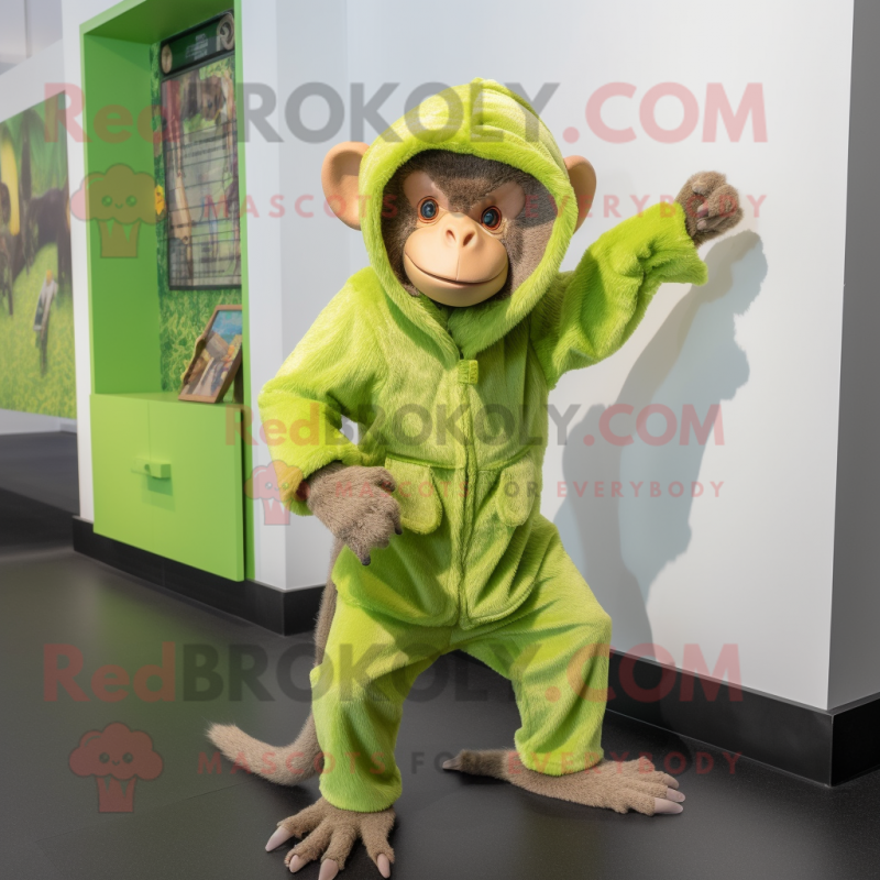 Disfraz de mascota de mono capuchino verde lima vestido con un mameluco y  fajines - Disfraces de mascotas -  Tamaño L (175-180 CM)