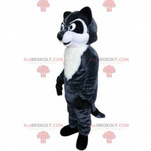 Raccoon maskot med intense øyne og en vakker pels -