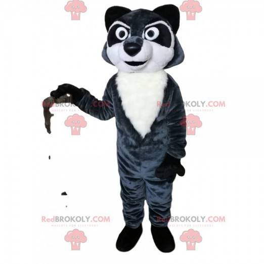 Raccoon mascot with intense eyes and a beautiful coat -