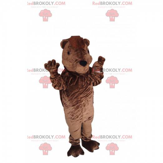 Mascote urso marrom muito brincalhão - Redbrokoly.com