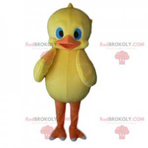 Mascot pollito amarillo con bonitos ojos azules - Redbrokoly.com