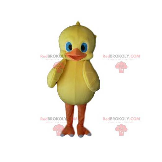 Maskot žluté kuřátko s pěkně modrýma očima - Redbrokoly.com