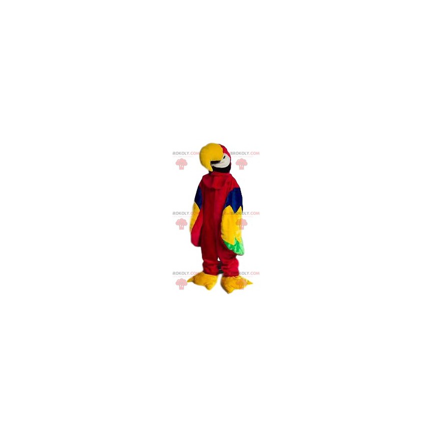 Mascote papagaio multicolorido muito sorridente - Redbrokoly.com Mascote papagaio multicolorido muito sorridente - Redbrokoly.com