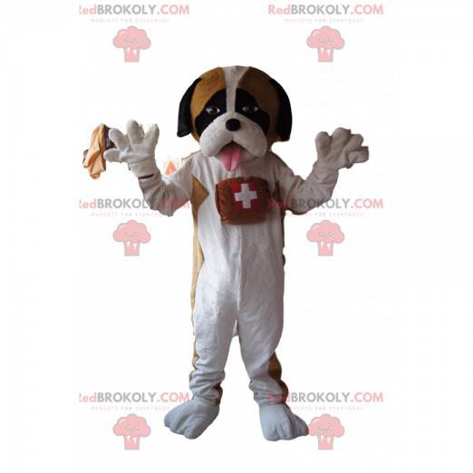 Saint Bernard Maskottchen mit einem zarten Blick -