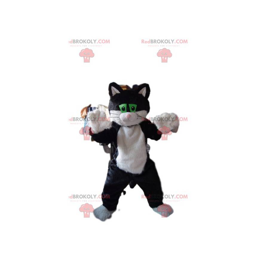 Mascotte de chat noir et blanc avec des yeux verts -
