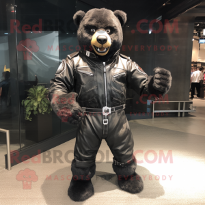 Black Bear...