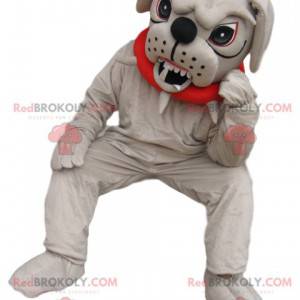 Mascote bull dog muito agressivo com coleira vermelha -