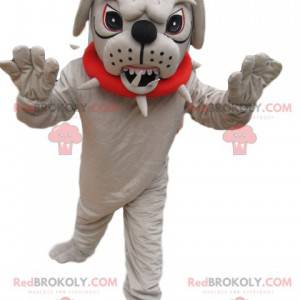 Very aggressive bull-dog mascot with a red collar -