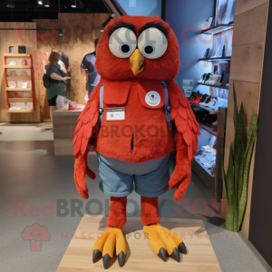 Red Owl maskot kostume...