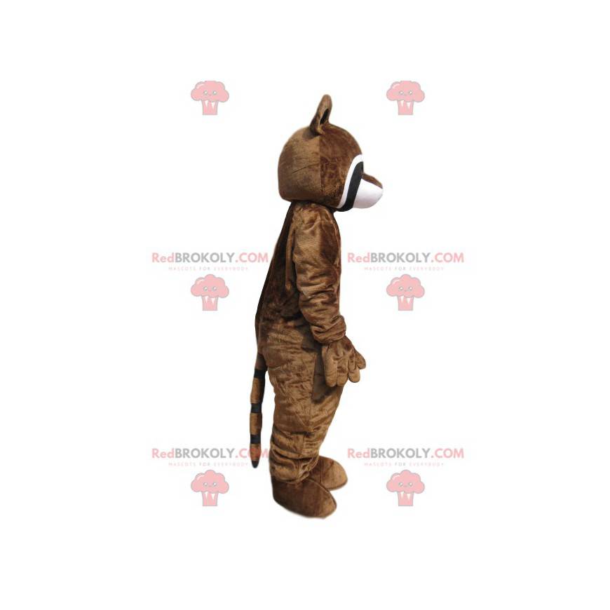 Mascota de mapache marrón con una mazorca de maíz -