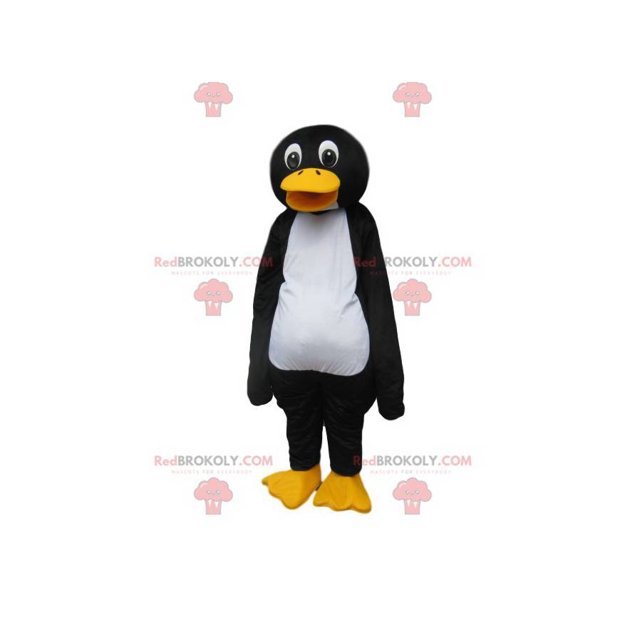 Mascote do pinguim rindo. Fantasia de pinguim - Redbrokoly.com