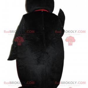 Charmig pingvinmaskot som blinkar till oss - Redbrokoly.com