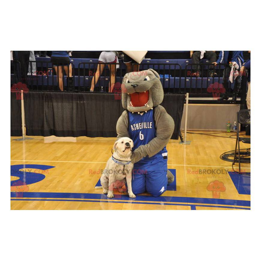Gray bulldog mascot in blue sportswear - Redbrokoly.com