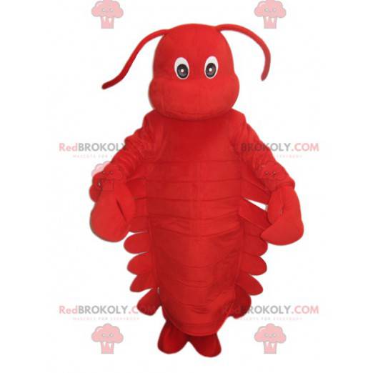 Very cabbage red lobster mascot. Lobster costume -