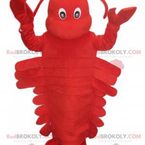 Very cabbage red lobster mascot. Lobster costume -
