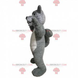 Mascotte de loup gris et blanc agressif - Redbrokoly.com